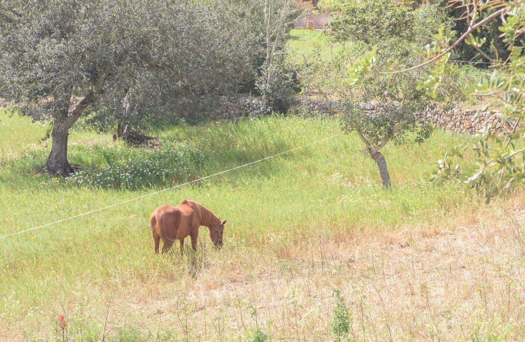 Finca Batlet S'Horta Kültér fotó